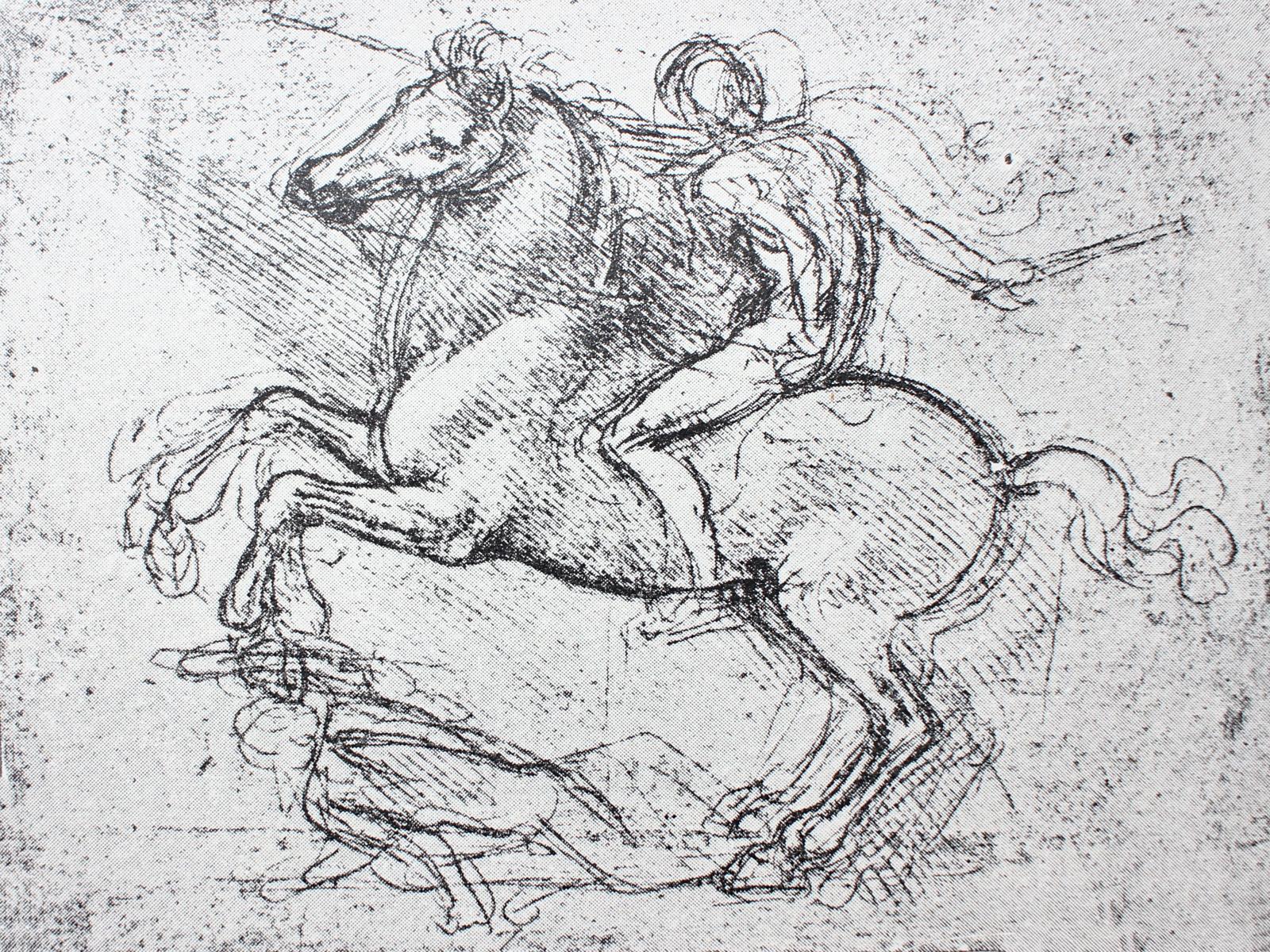 Scopri il genio di Leonardo al Museo di Venezia!